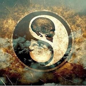 Meet your Posher, Cody